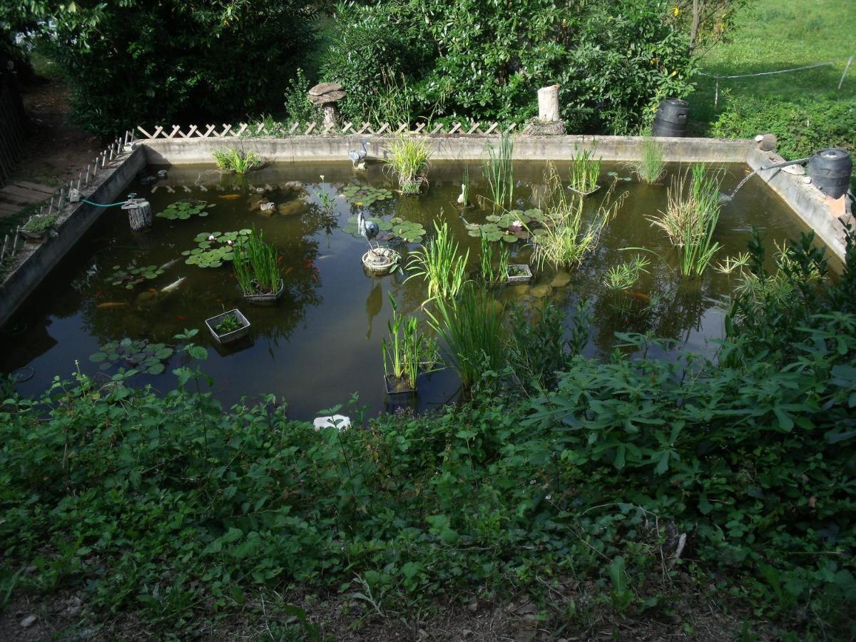 Willa Domaine De La Provenc'Ane Salernes Zewnętrze zdjęcie
