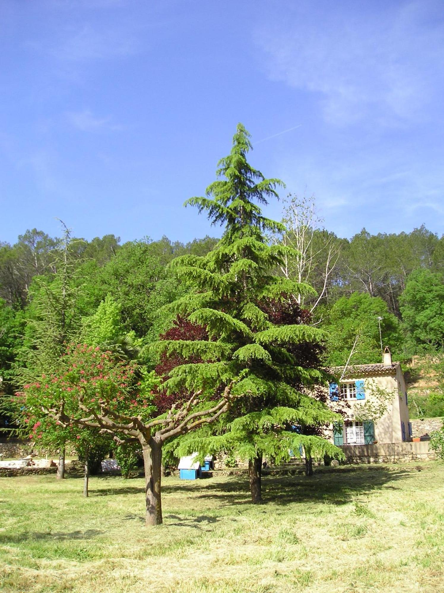 Willa Domaine De La Provenc'Ane Salernes Pokój zdjęcie